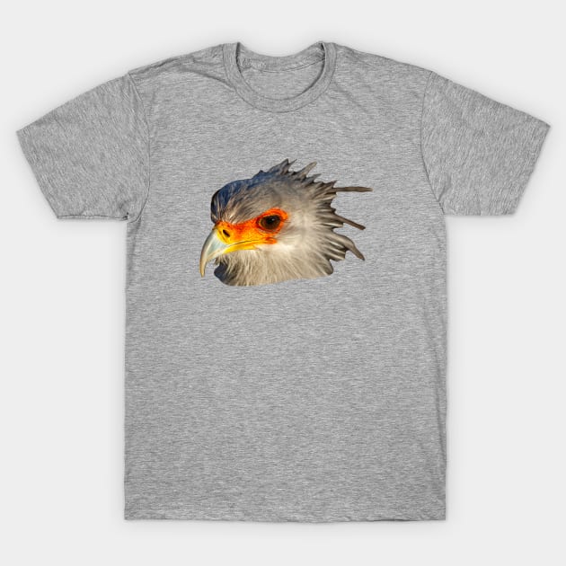 Secretary Bird hair do T-Shirt by dalyndigaital2@gmail.com